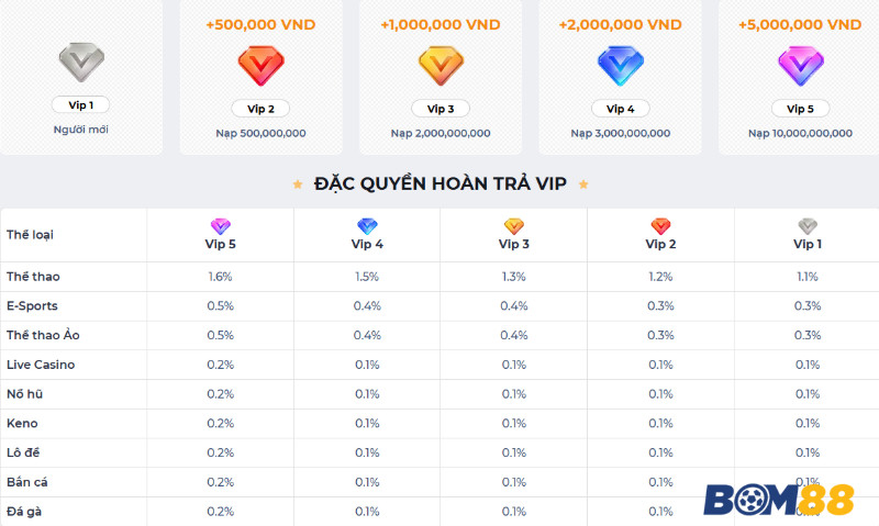 Ưu Đãi Dành Cho Thành Viên VIP